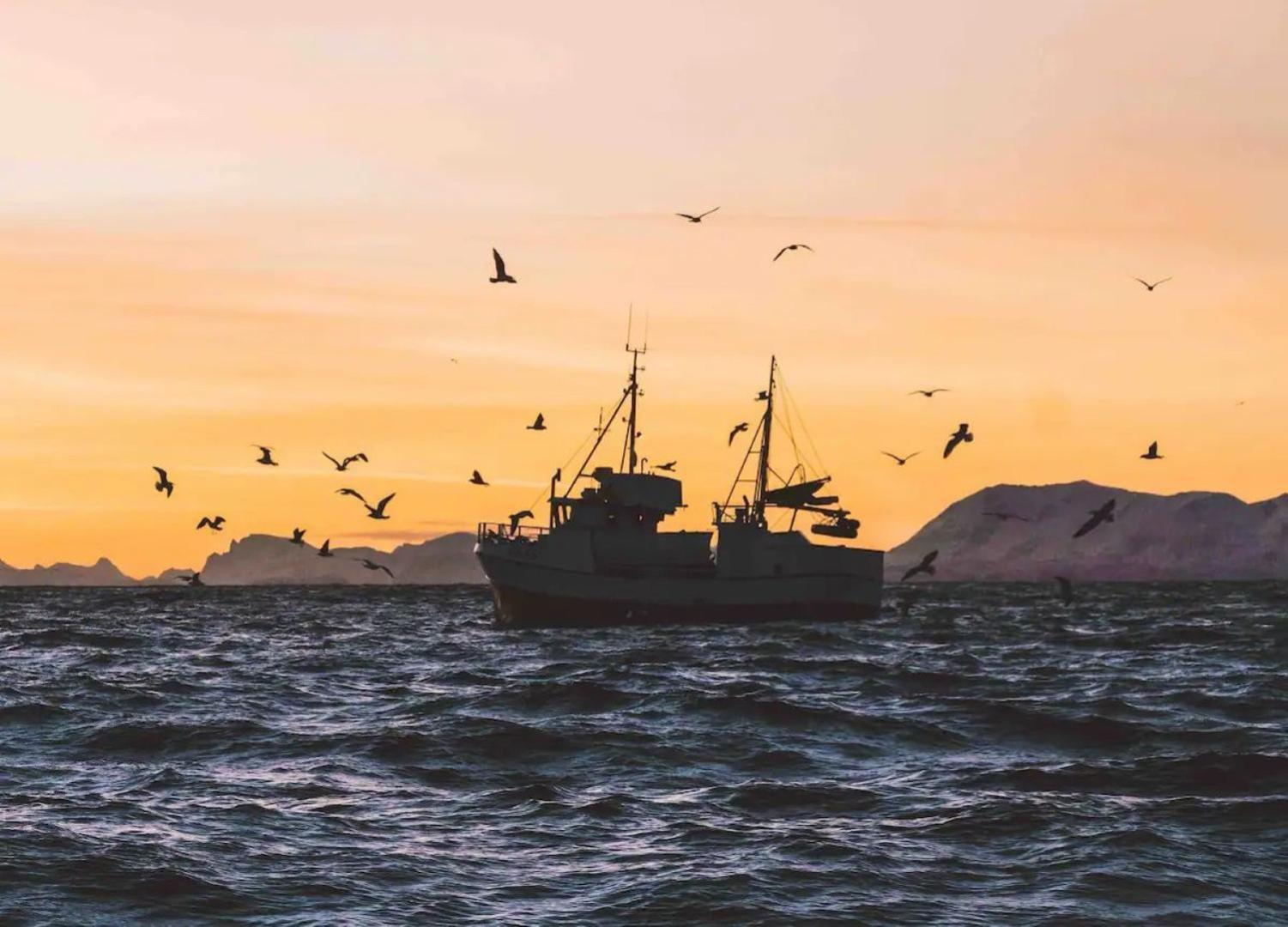 Fjordview Ryten 1 Retreat Sund  المظهر الخارجي الصورة